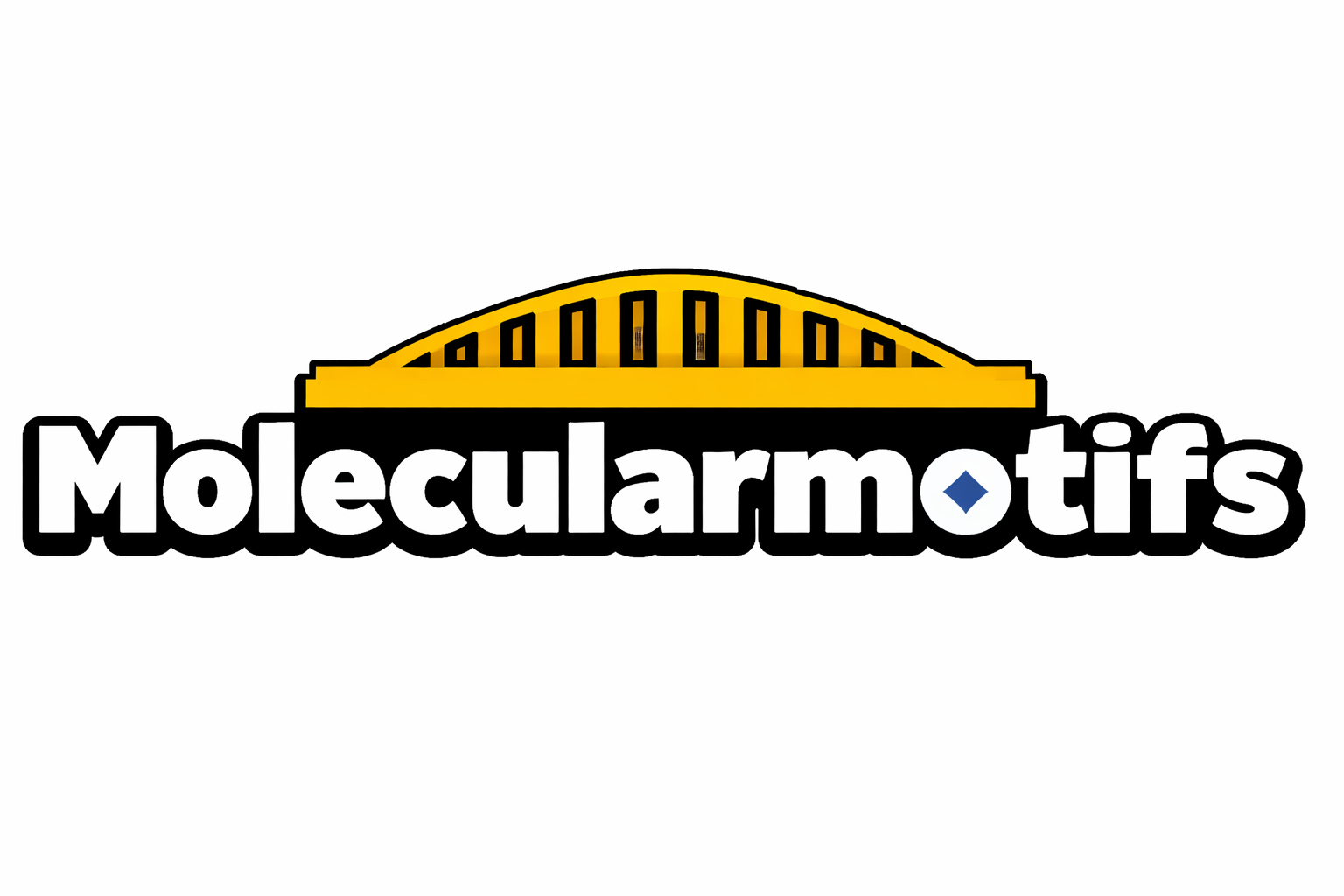 Molecularmotifs